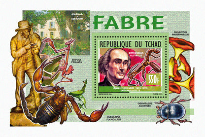 Personalities / Insect Researcher - Meneville & Fabre