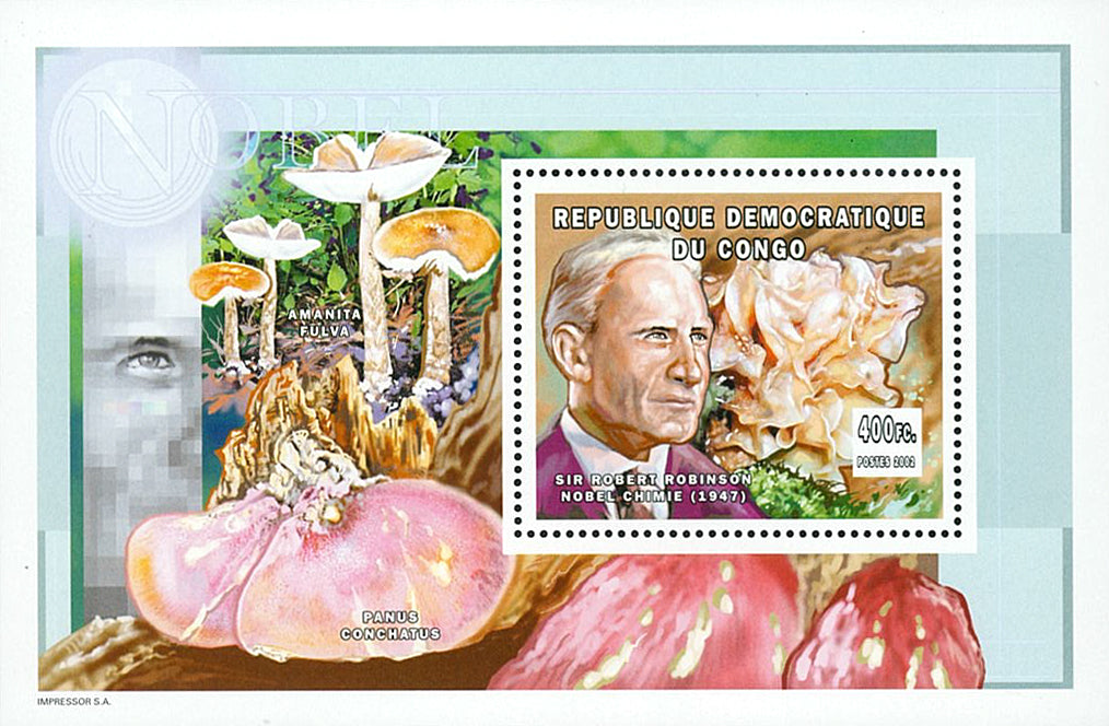 Nobel Prize in Chemistry - MUSHROOMS (6)