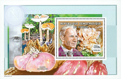 Nobel Prize in Chemistry - MUSHROOMS (6)
