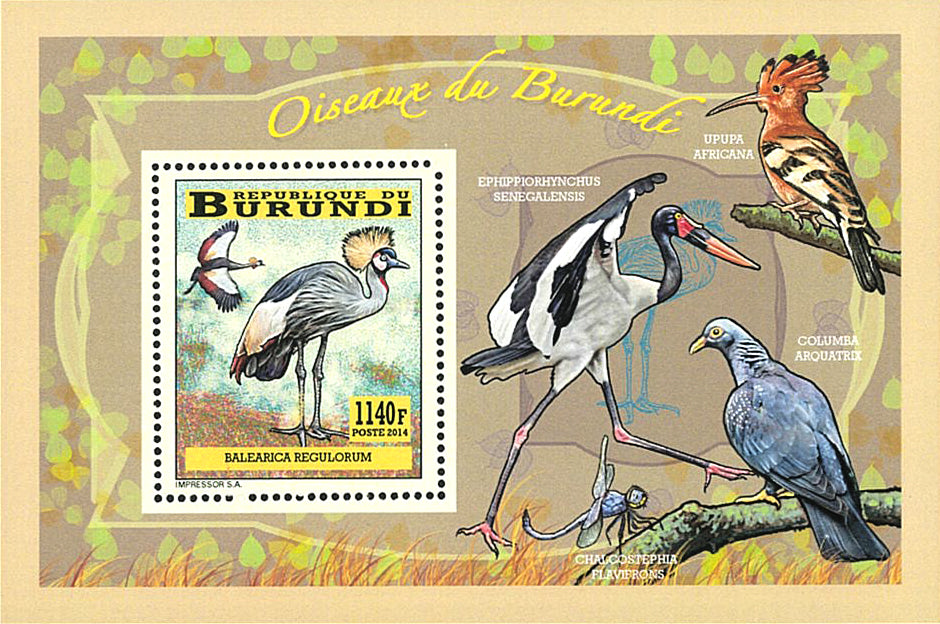 Fauna & Flora : Birds