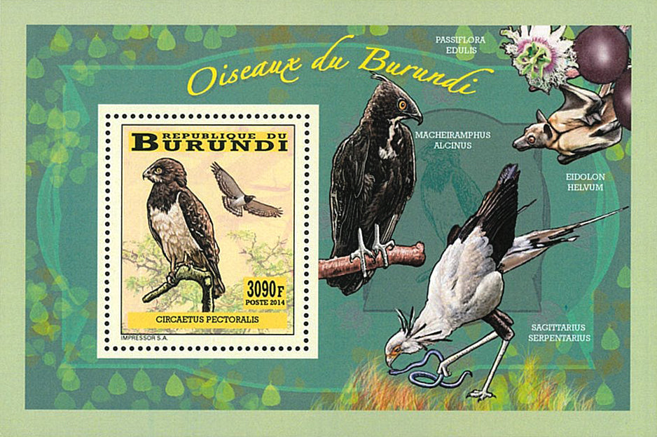 Fauna & Flora : Birds of prey