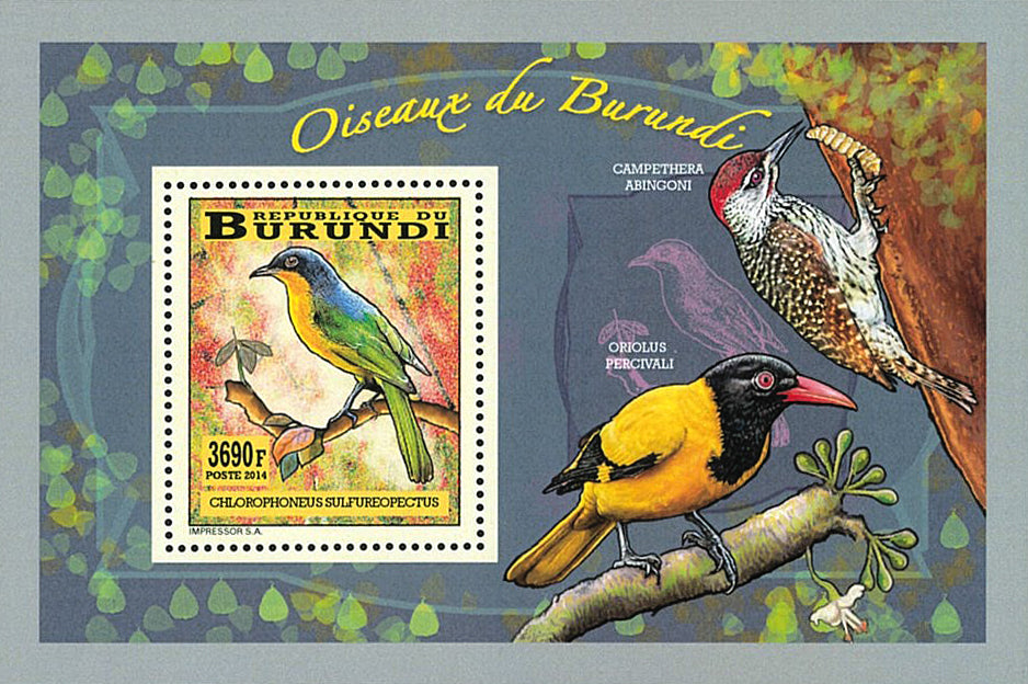 Fauna & Flora : Birds (II)