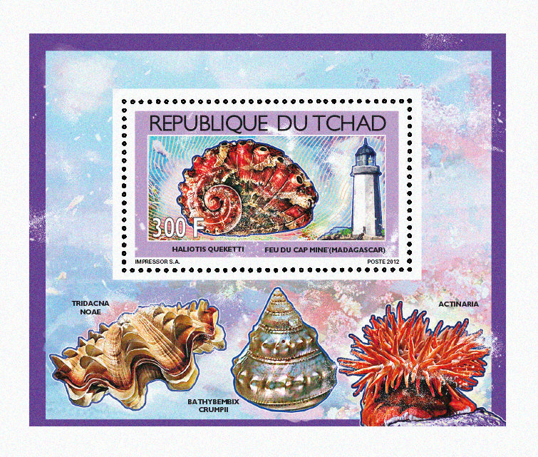 Shells & Lighthouses 2012