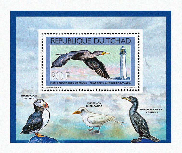 Seabirds & Lighthouses 2012