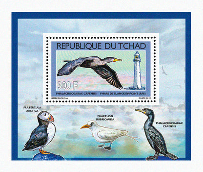 Seabirds & Lighthouses 2012