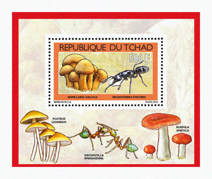 Mushrooms & Beetles (1)