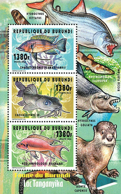 Fauna & Flora : Fish of Lake Tanganyka (I)