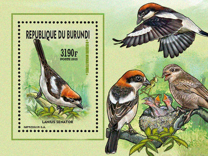 Fauna & Flora : Birds 2015 (V) Nicheurs