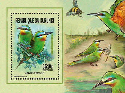 Fauna & Flora : Birds 2015 (VII) Oiseaux divers