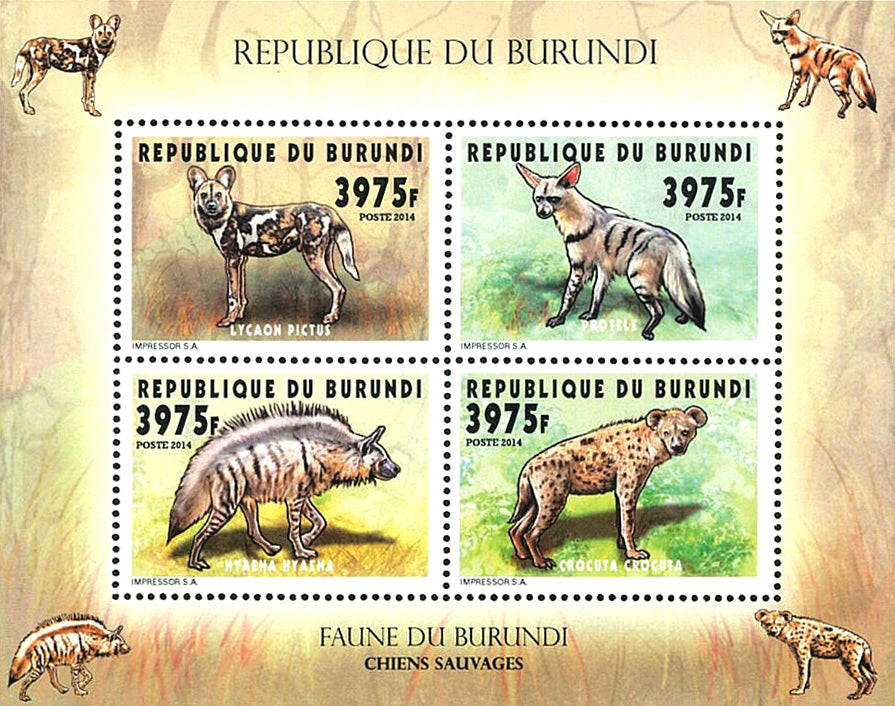 Fauna & Flora : Hyenas