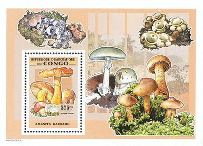 Mushrooms (2007)