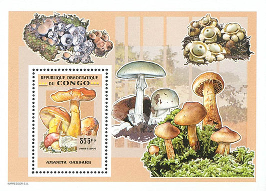 Mushrooms (2007)