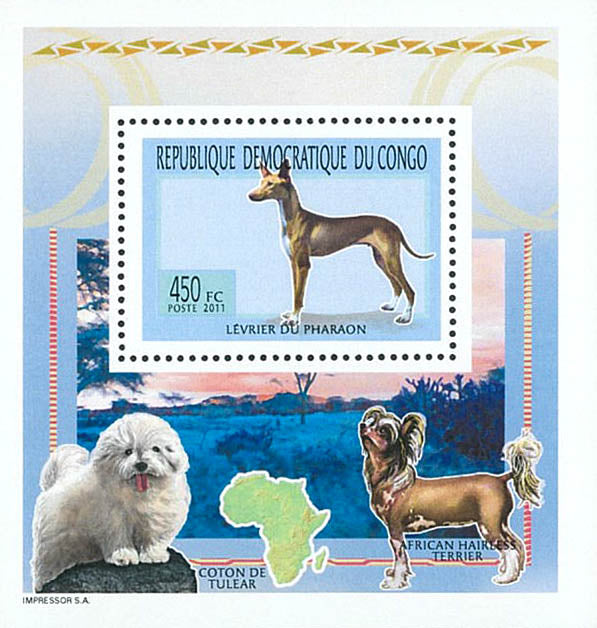 Dogs - Animals (2011)