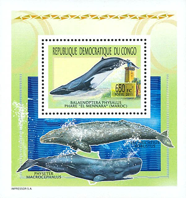 Whales & Lighthouses - Animals (2011)