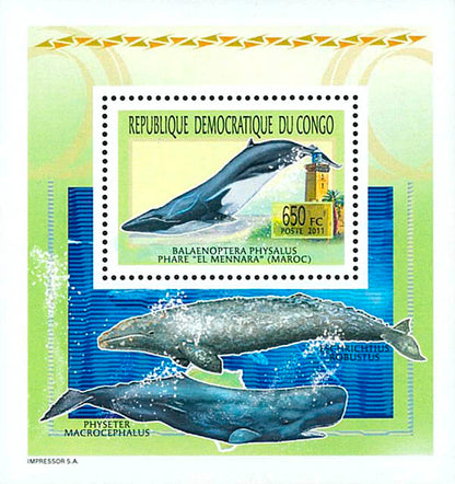 Whales & Lighthouses - Animals (2011)