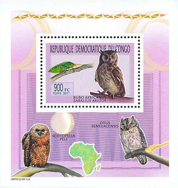 Owls - Animals (2011)