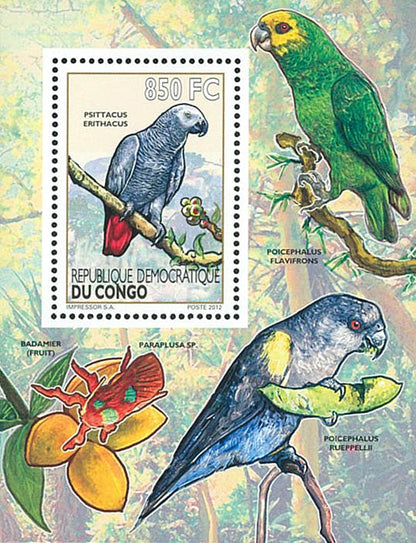 Birds / Parrots - Fauna & Flora  (2012)