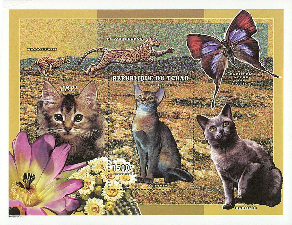 Purebred cats of the world