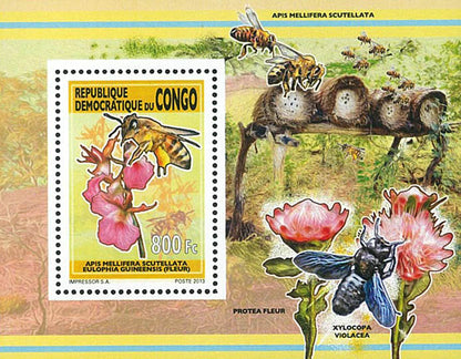 Bees & Orchids (2013)