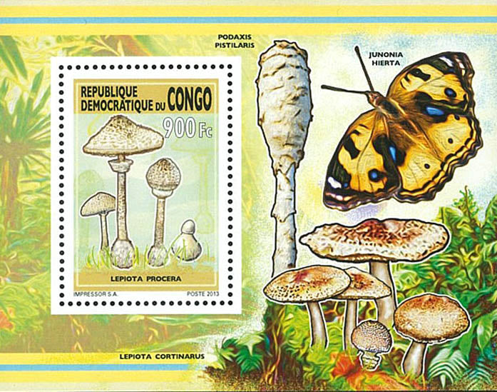 Mushrooms (2013)
