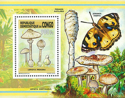 Mushrooms (2013)