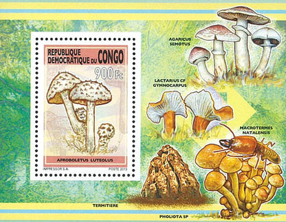 Mushrooms (2013)