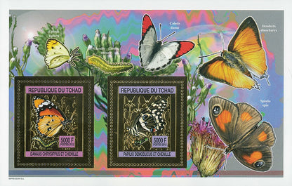 Butterflies and Caterpillars / Gold Issue