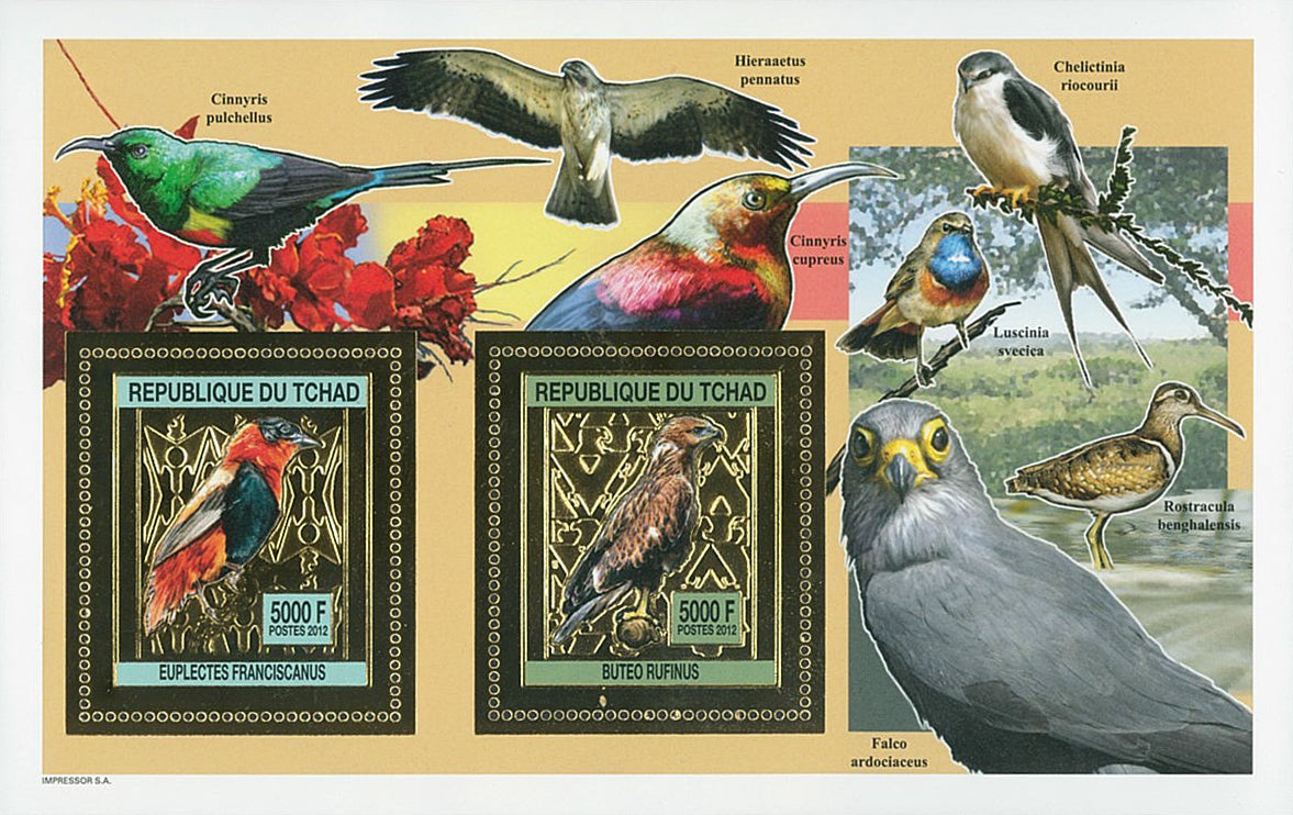 Birds / Gold Issue