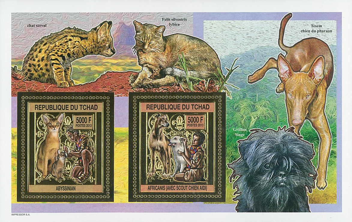 Scouting & Dogs-Cats / Gold Issue