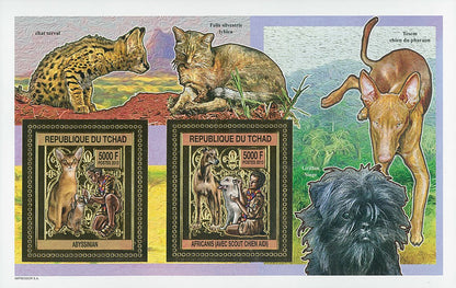 Scouting & Dogs-Cats / Gold Issue