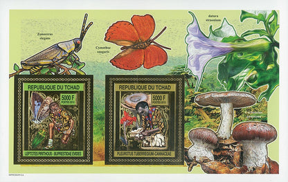 Scouting & Insects-Mushrooms / Gold Issue