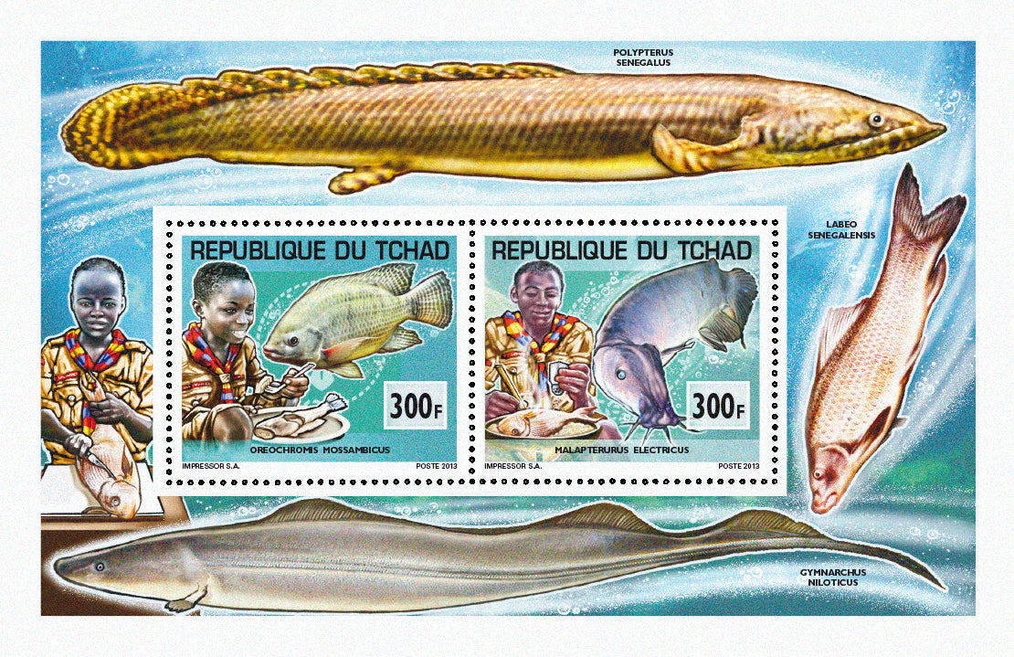 Scouting & Fishes