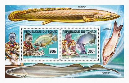 Scouting & Fishes