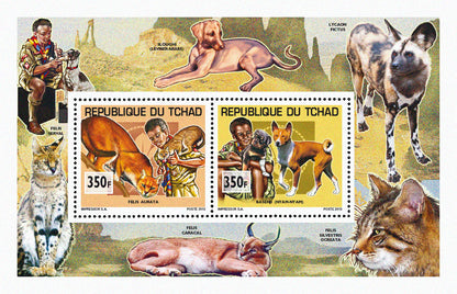 Scouting & Dogs-Cats