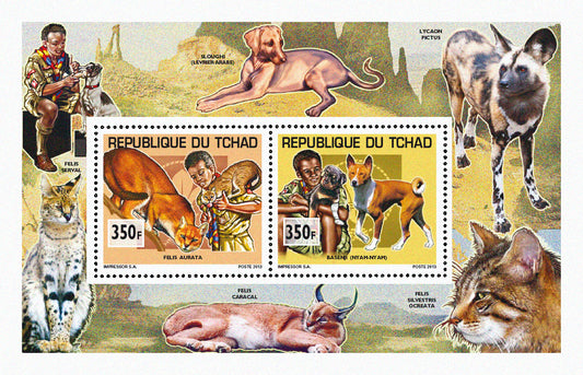 Scouting & Dogs-Cats