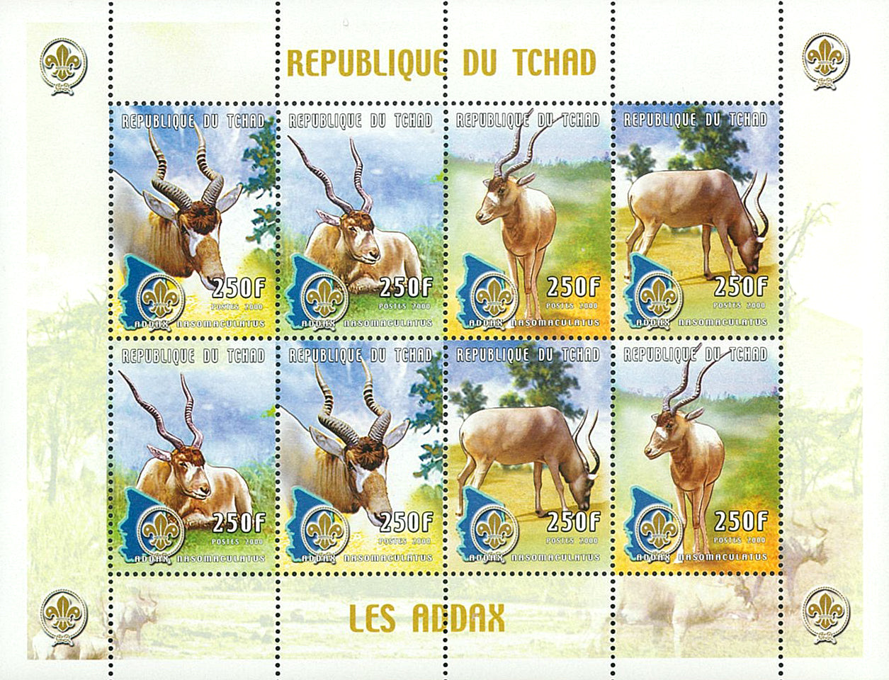 Wild Fauna & Scounting