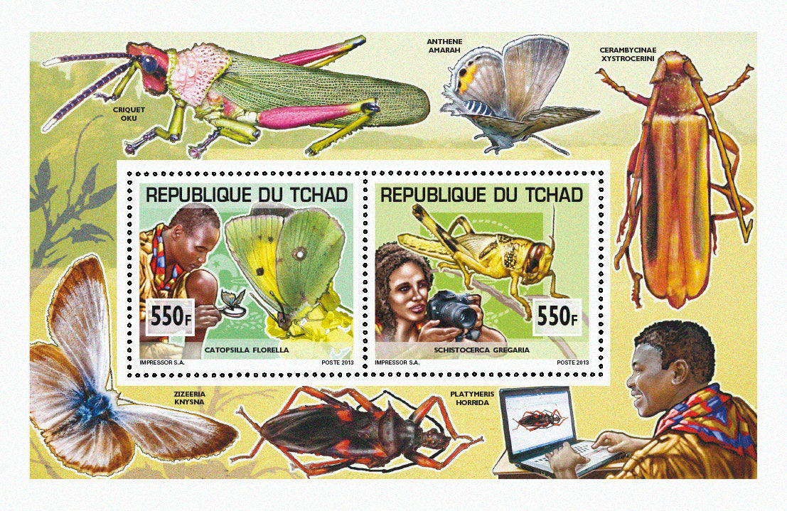 Scouting & Insects-Butterflies