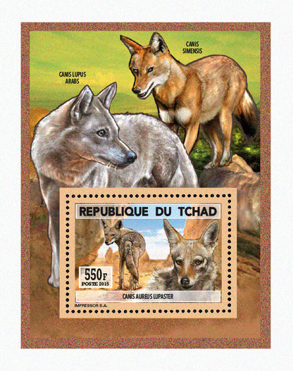 Natural History / Wild Dogs