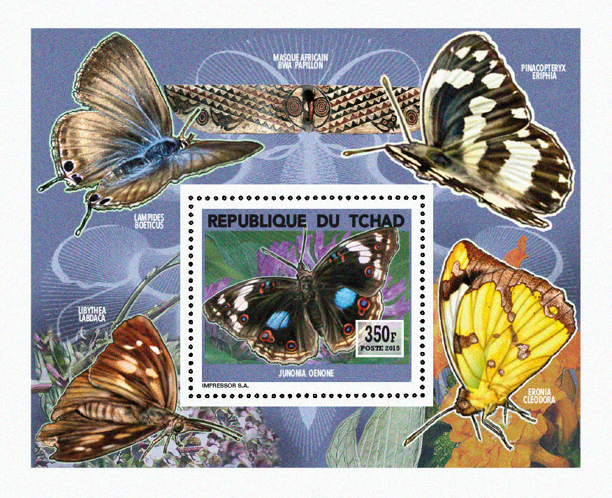 Insects and Birds  / Butterflies