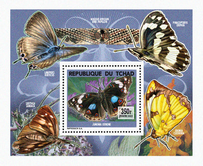 Insects and Birds  / Butterflies
