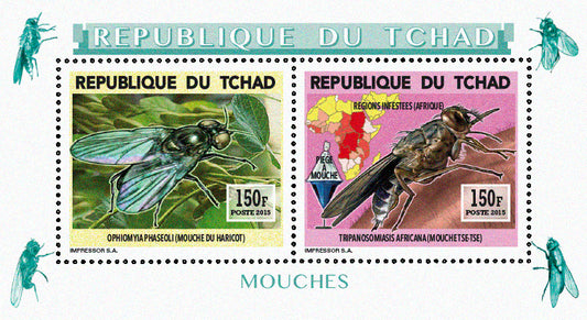 Insects and Birds / Flies