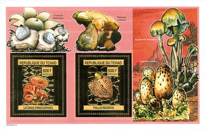 Mushrooms Gold issue (2012)