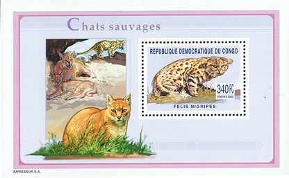 Wild Cats Fauna