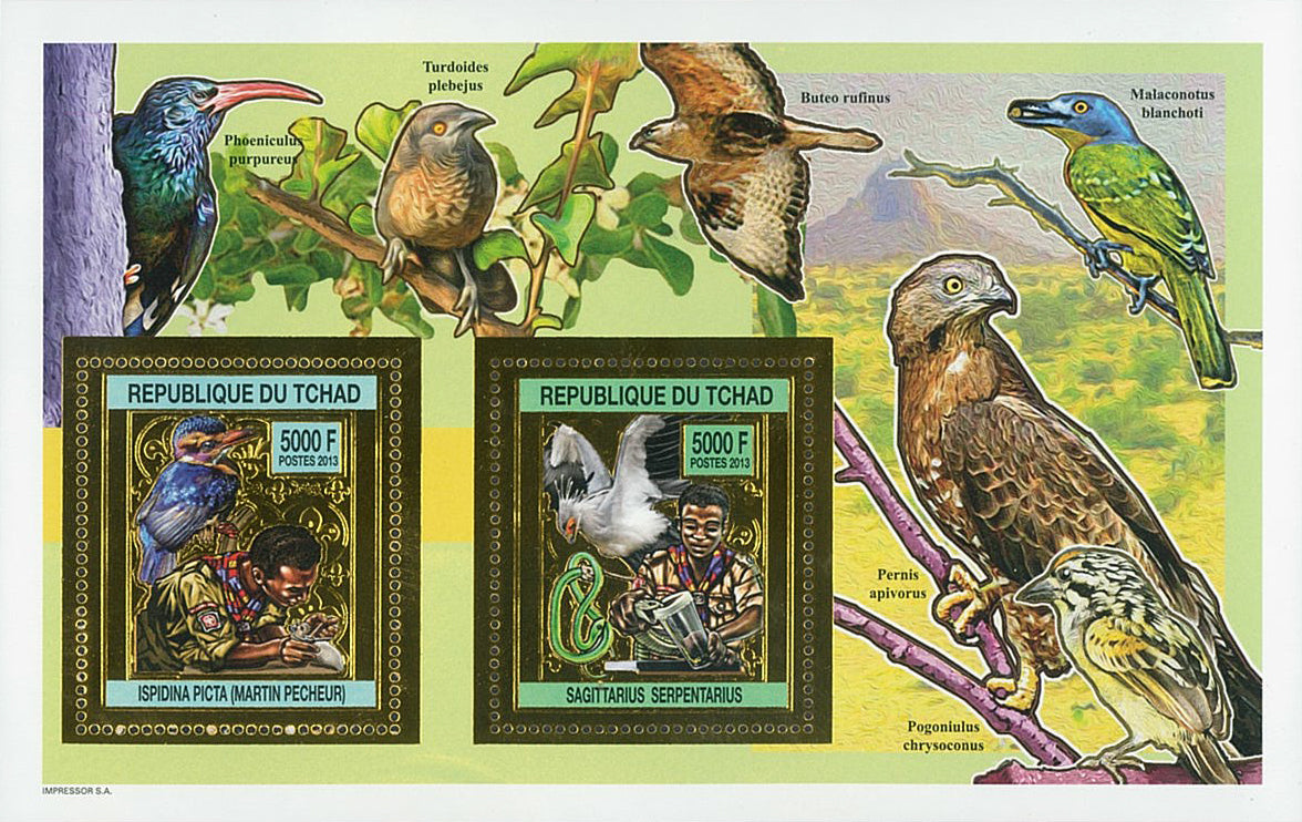Scouting & Birds-Raptors / Gold Issue