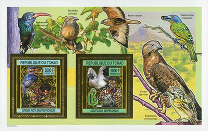 Scouting & Birds-Raptors / Gold Issue