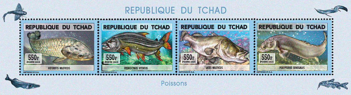 Natural History / Fish from Lake Chad