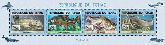 Natural History / Fish from Lake Chad