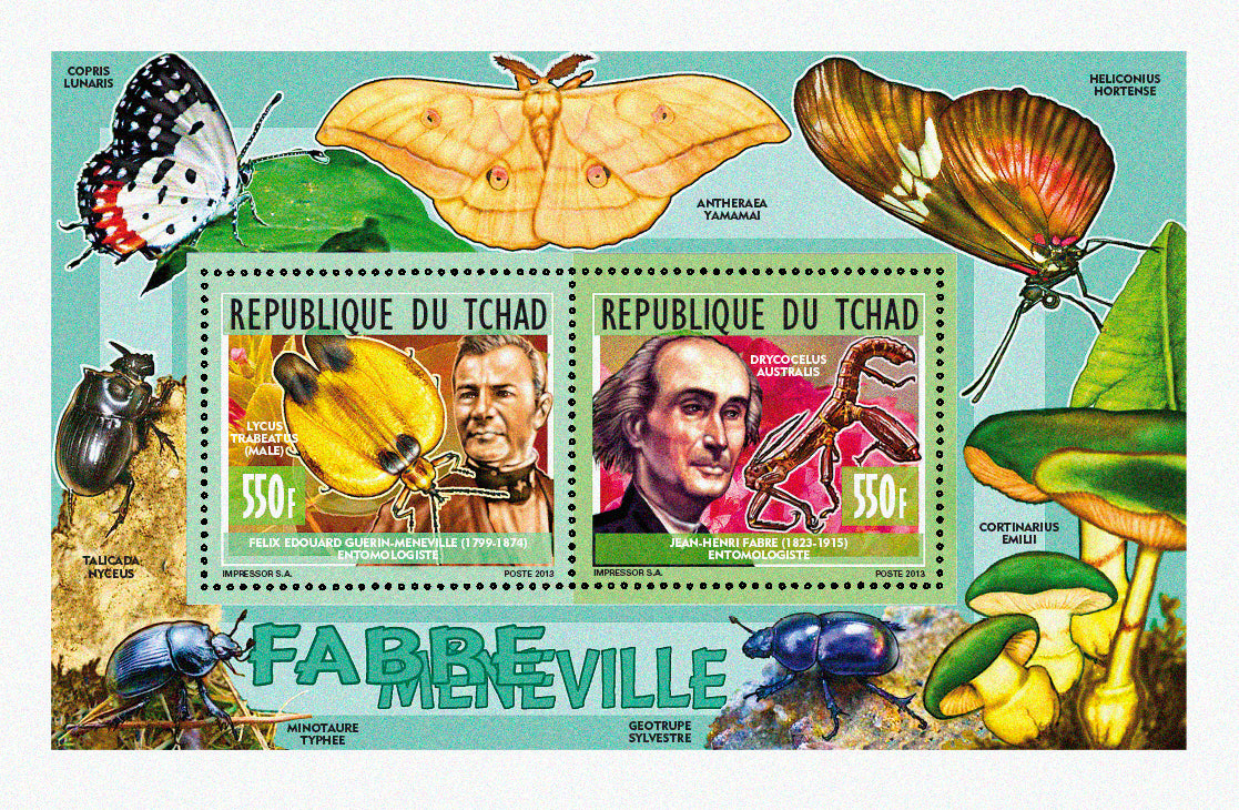 Personalities / Insect Researcher - Meneville & Fabre