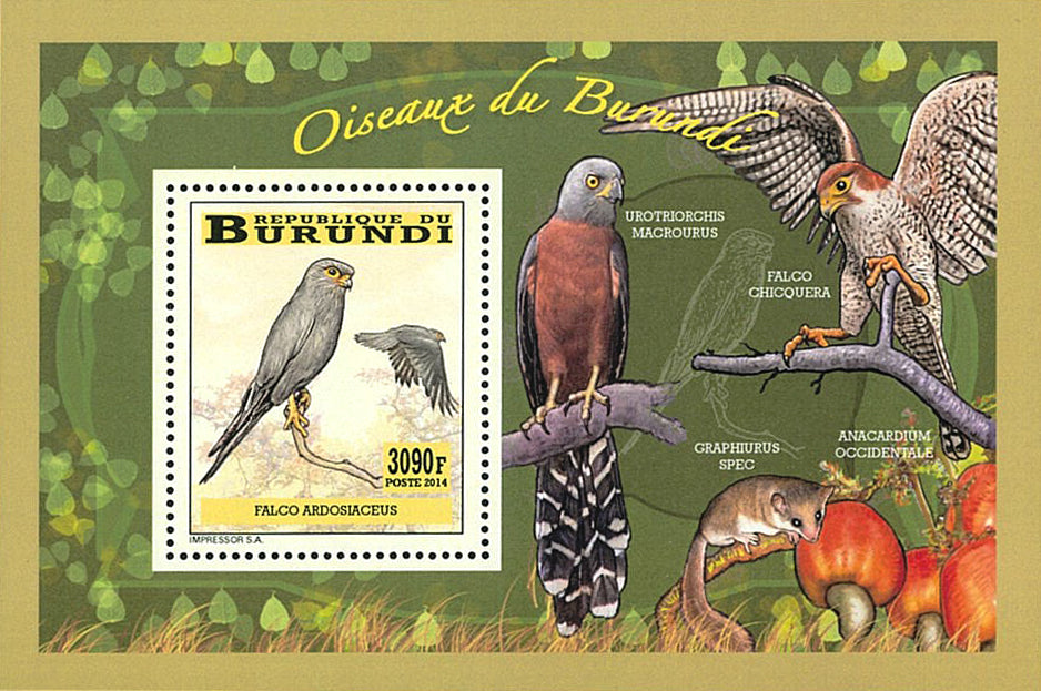 Fauna & Flora : Birds of prey