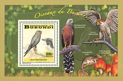 Fauna & Flora : Birds of prey
